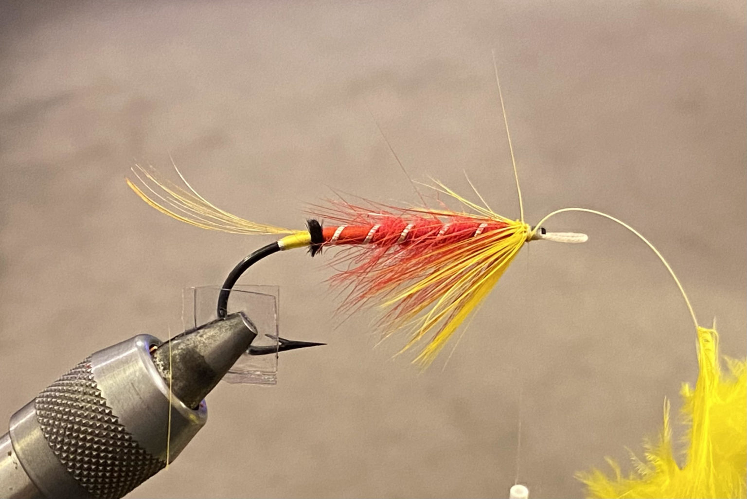 Fly Tying: Classic Fly Series – The Kate, Part 2